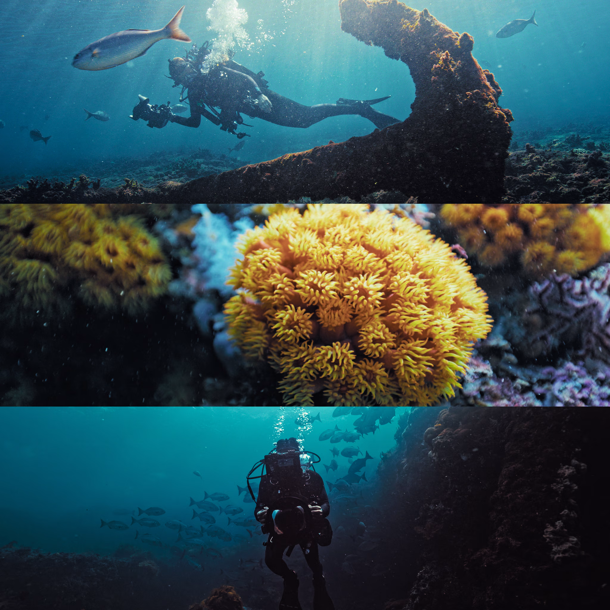 Shipwreck Hunters Australia Season 2 gallery image 3