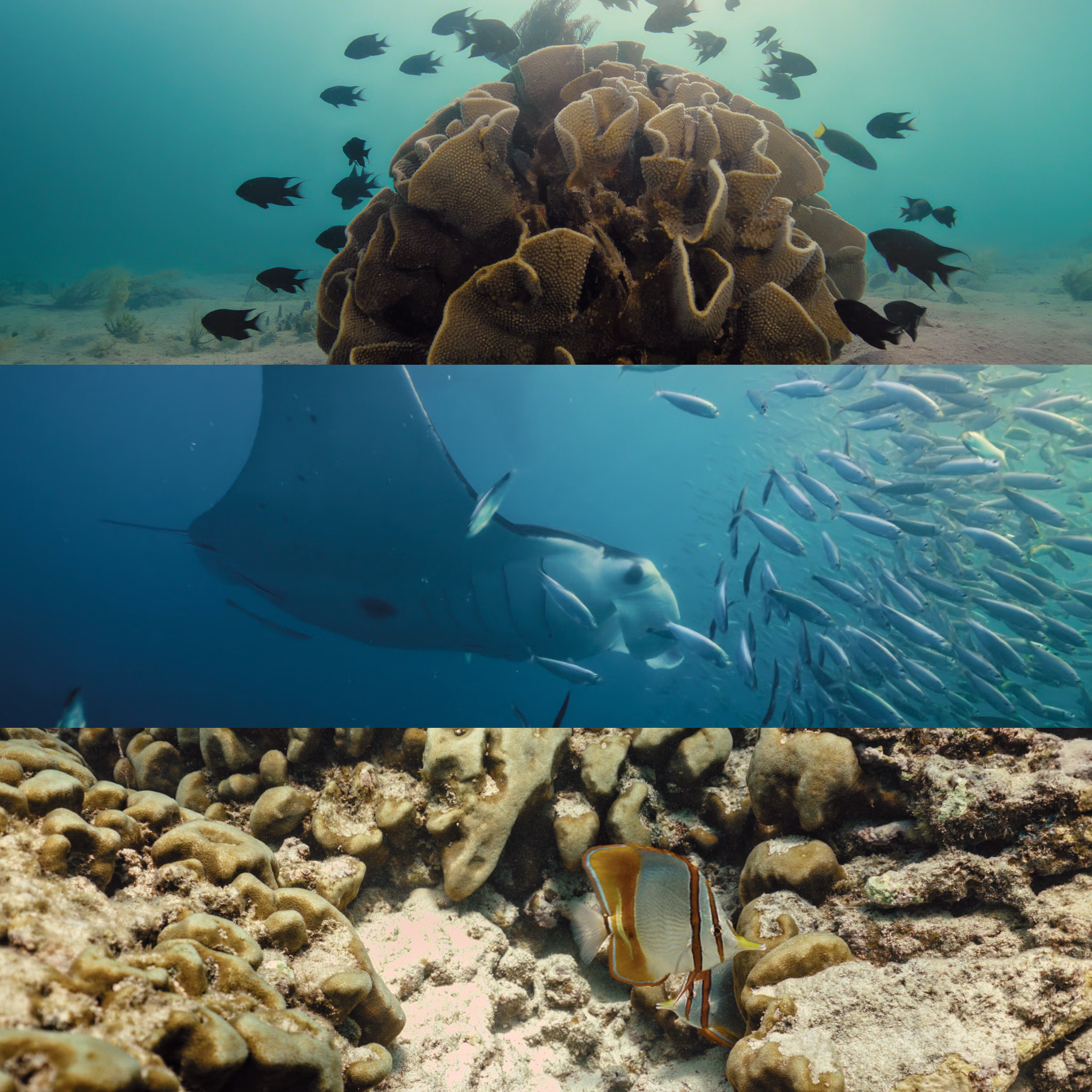 Shipwreck Hunters Australia Season 2 gallery image 5